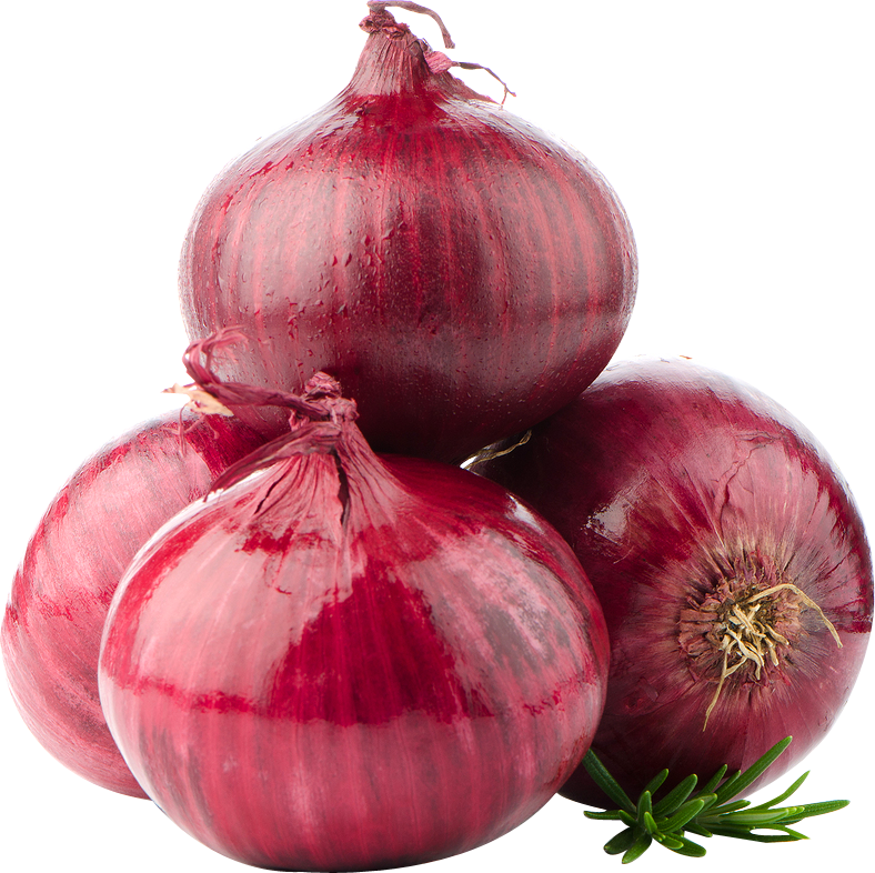 Onion Png Image - Onion, Transparent background PNG HD thumbnail