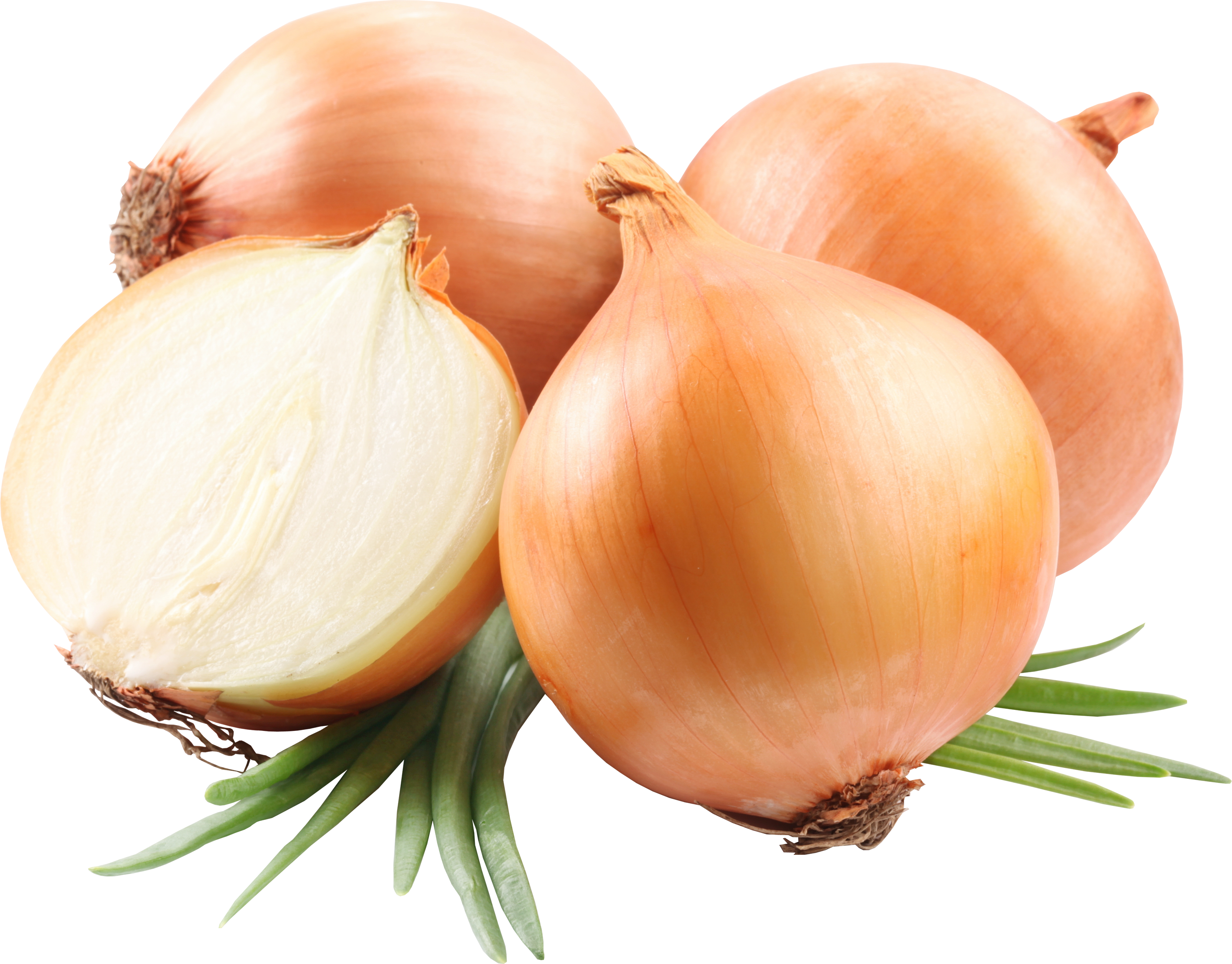 Onion Png Image, Free Download Picture - Onion, Transparent background PNG HD thumbnail
