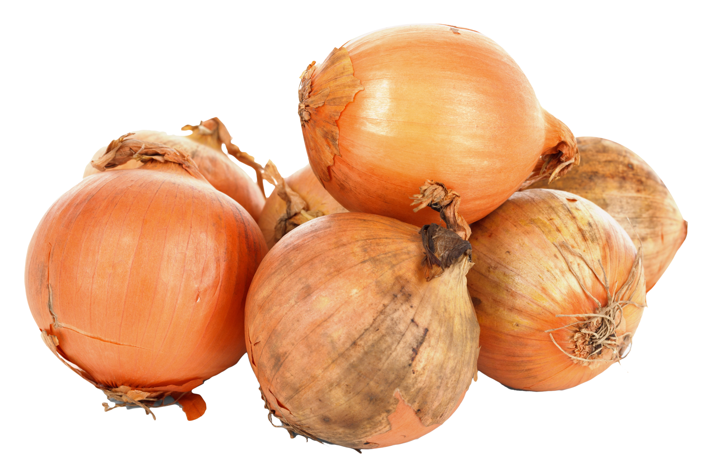 Onions Png Image - Onion, Transparent background PNG HD thumbnail