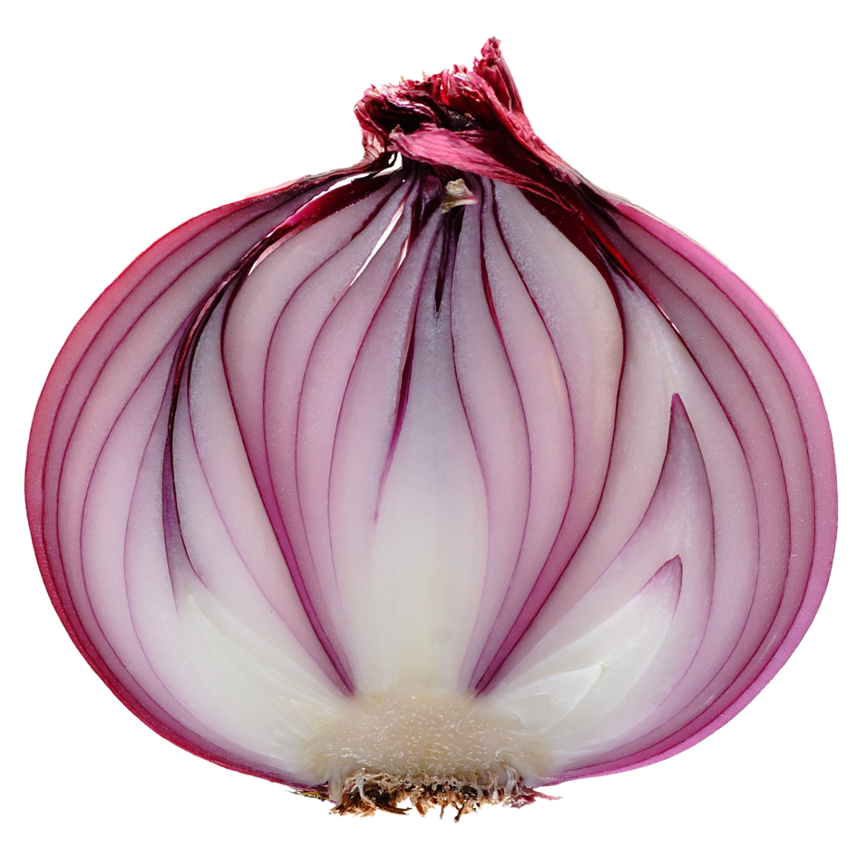 Slice Onion Png Image #38756 - Onion, Transparent background PNG HD thumbnail