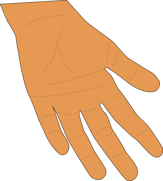 Hand, Palm, Fingers, Human, Skin, Giving, Thumb, Open - Open Giving Hands, Transparent background PNG HD thumbnail