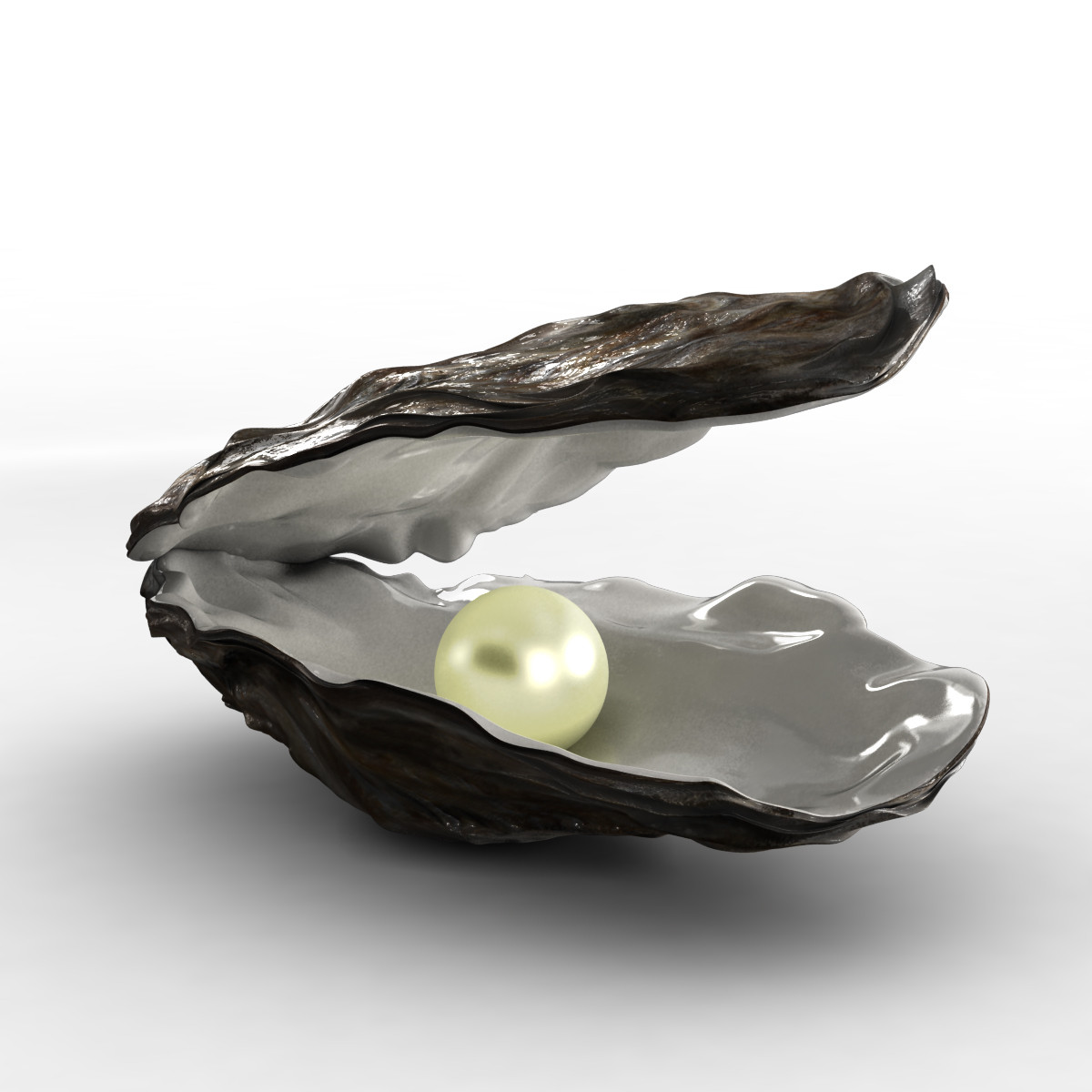 Open Oyster Png - Open Oyster Png Hdpng.com 1200, Transparent background PNG HD thumbnail