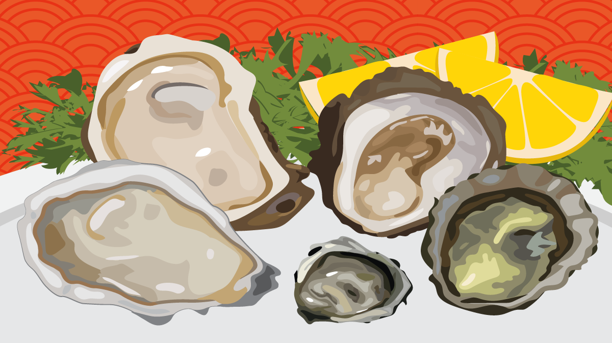 Open Oyster Png Hdpng.com 1200 - Open Oyster, Transparent background PNG HD thumbnail