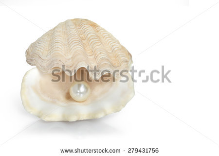 Open Oyster Png - Image Of A White Pearl Ball In A Open Oyster Shell Isolated On White. This, Transparent background PNG HD thumbnail
