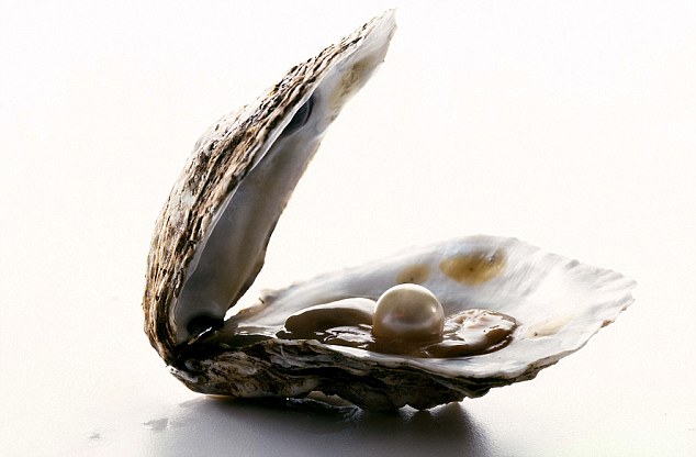 Open Oyster Png - Open The Box To Reveal. Hdpng.com A Pearl In An Oyster Shell, Transparent background PNG HD thumbnail