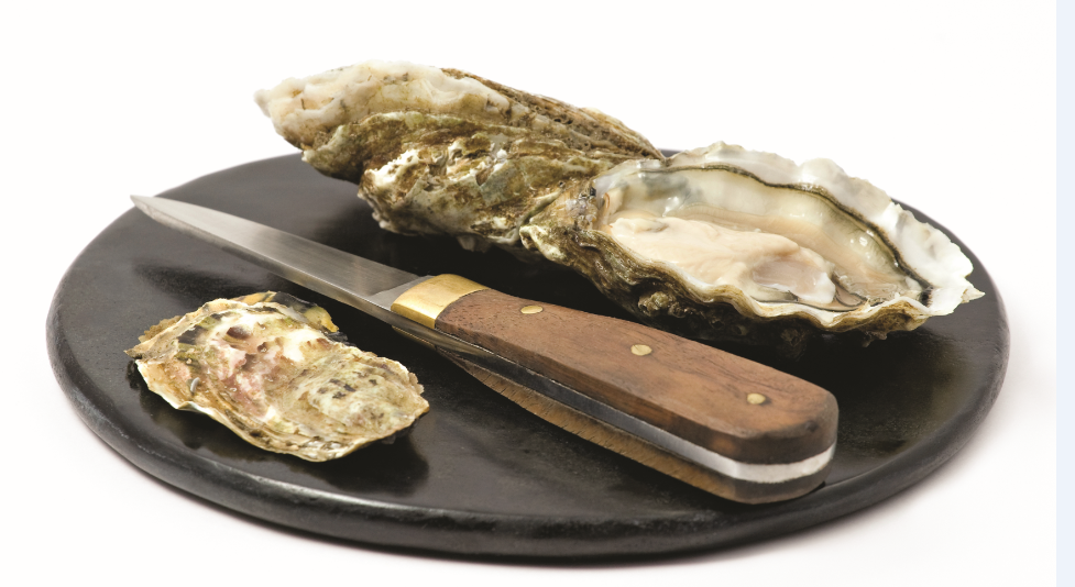 Open Oyster Png - Oyster Knife, Transparent background PNG HD thumbnail