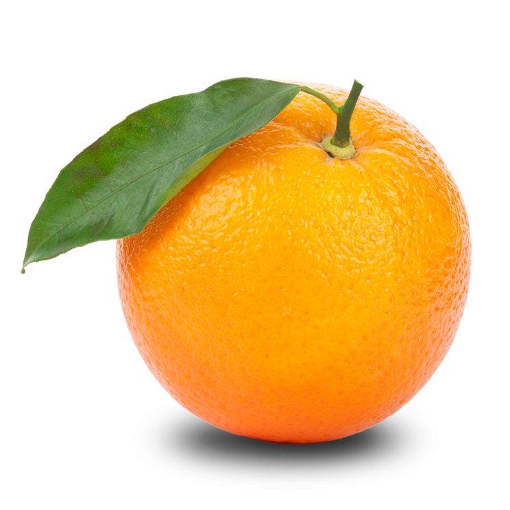 Download Png Image   Orange Png Clipart - Orange, Transparent background PNG HD thumbnail