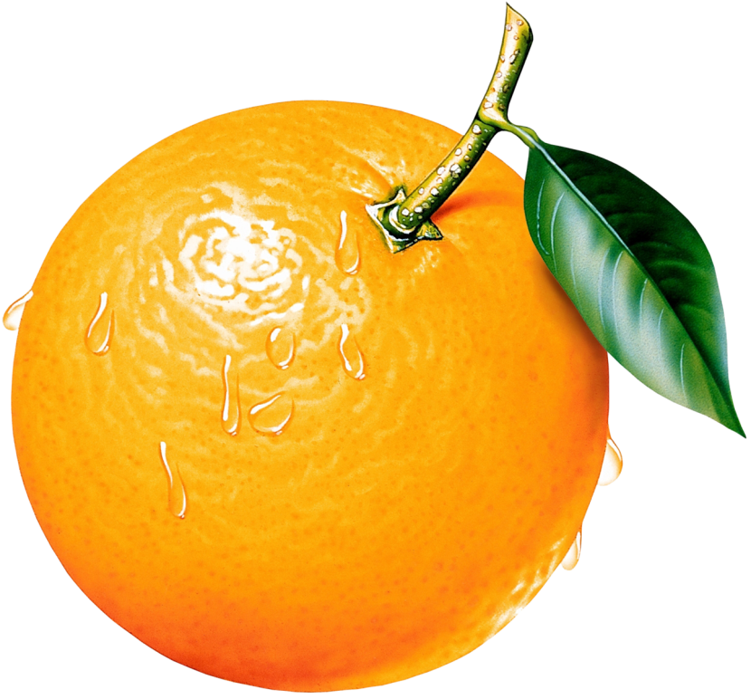 Orange Clipart. - Orange, Transparent background PNG HD thumbnail