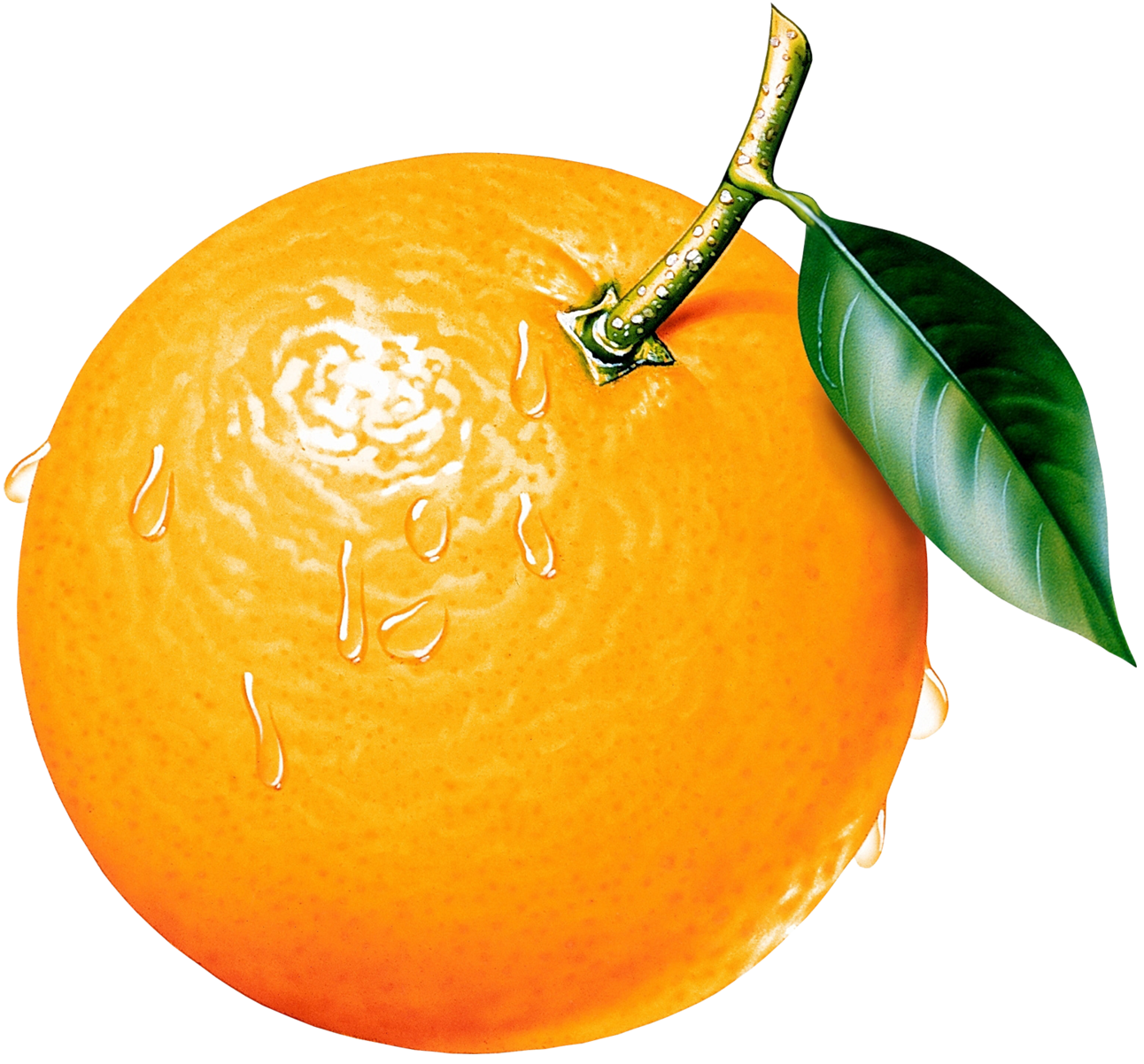 Orange Hd Clipart - Orange, Transparent background PNG HD thumbnail