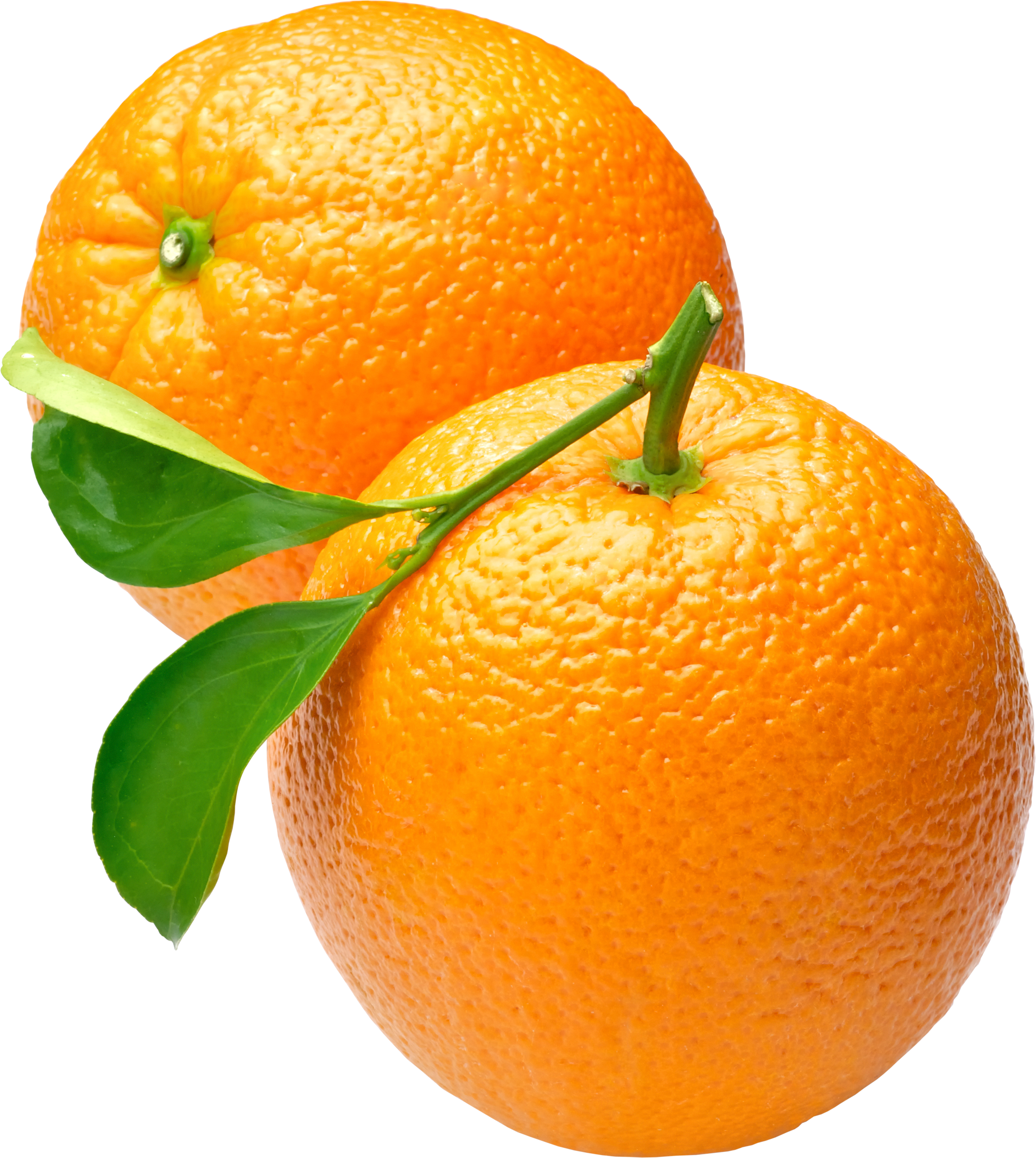 Orange Images - Orange, Transparent background PNG HD thumbnail