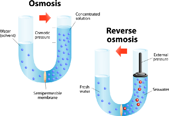 Osmosis And Reverse Osmosis | Science And Technology - Osmosis, Transparent background PNG HD thumbnail