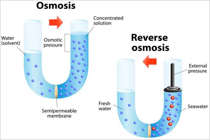 Osmosis and Reverse osmosis |