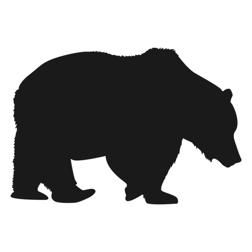 Oso Polar Png - Oso Black And White, Transparent background PNG HD thumbnail