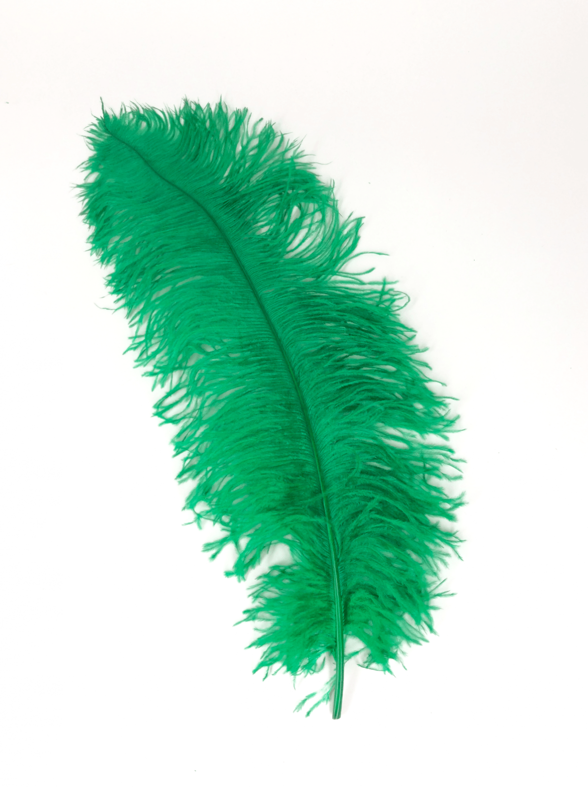 Ostrich Feather Hdpng.com  - Ostrich Feather, Transparent background PNG HD thumbnail