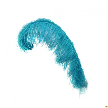 Ostrich Feathers - Ostrich Feather, Transparent background PNG HD thumbnail