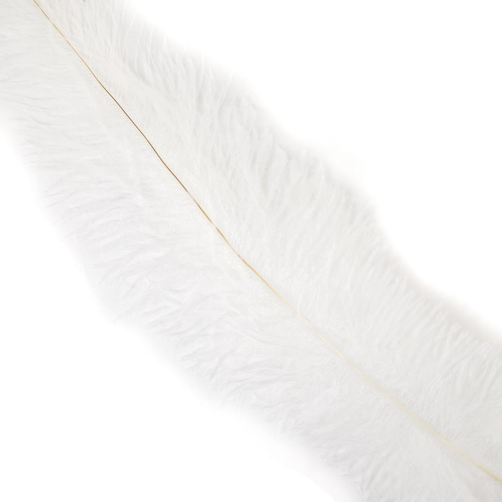 Ostrich Feathers Floss   White - Ostrich Feather, Transparent background PNG HD thumbnail
