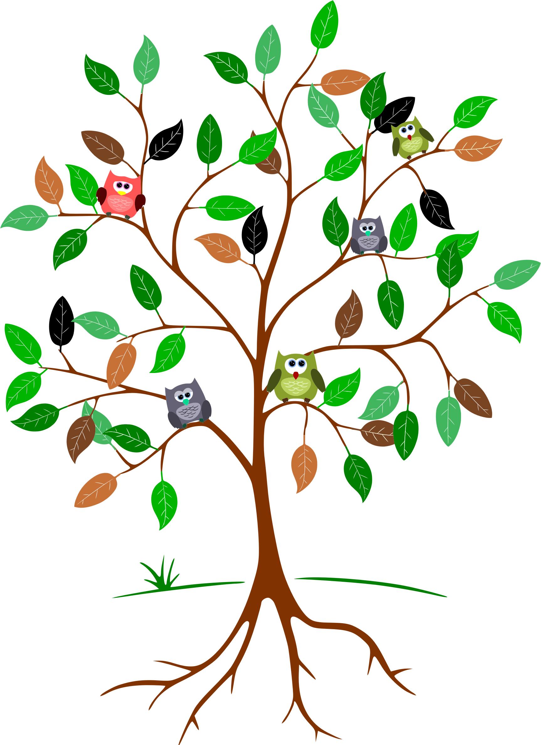 Owls In A Tree - Owls In A Tree, Transparent background PNG HD thumbnail