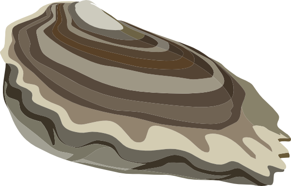 Png: Small · Medium · Large - Oyster Cartoon, Transparent background PNG HD thumbnail