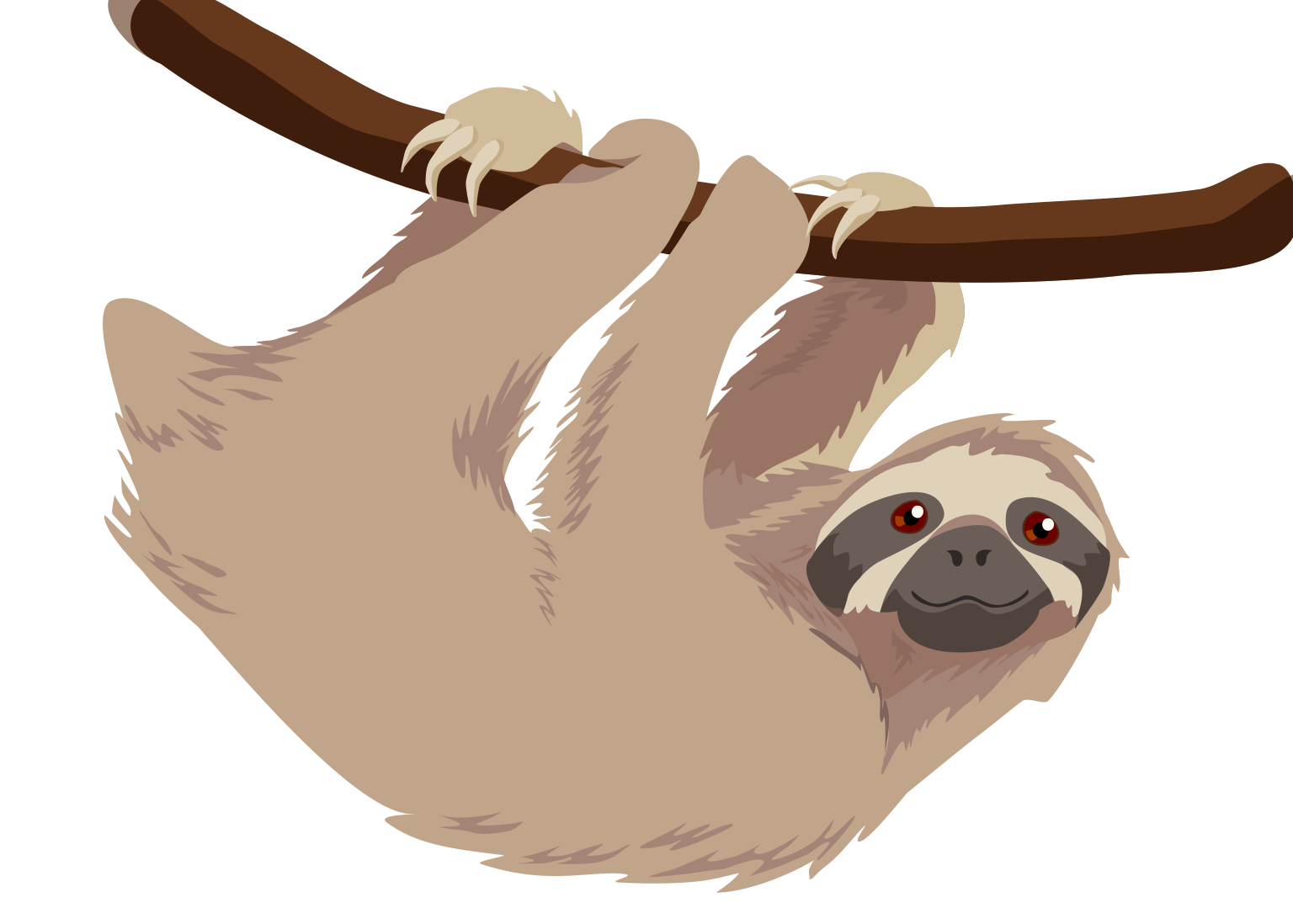 Page Not Found | Veronica Guzzardi - Sloth, Transparent background PNG HD thumbnail