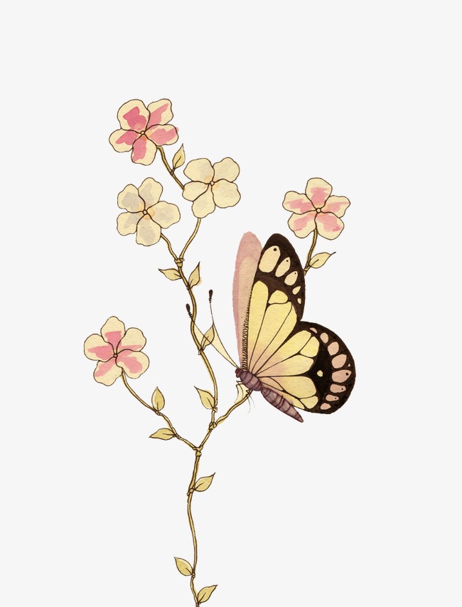 Butterfly, Hd, Painted, Painting Free Png Image - Painting, Transparent background PNG HD thumbnail