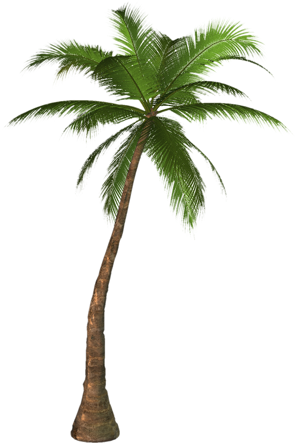 Palm Tree Png Image #31881 - Palm Tree, Transparent background PNG HD thumbnail