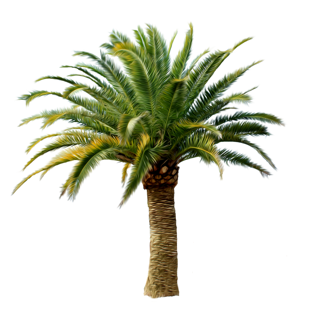 Green Palm Tree PNG Clipart