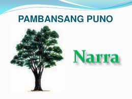 Pambansang Puno: Narra - Pambansang Sagisag Ng Pilipinas, Transparent background PNG HD thumbnail