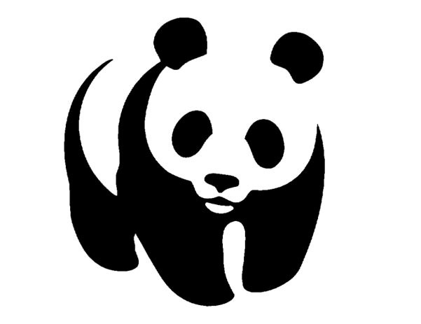 Panda, Panda Baby, China, Too