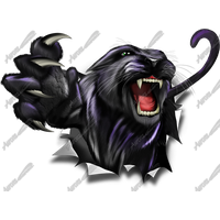 Similar Panther Png Image - Panther, Transparent background PNG HD thumbnail