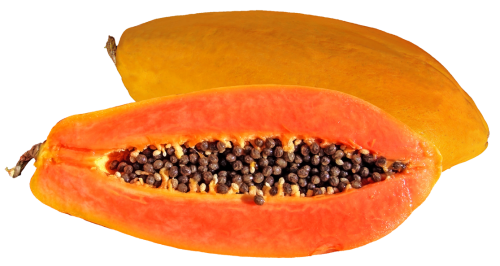 Download Fresh And Tasty Papaya Png Image - Papaya, Transparent background PNG HD thumbnail