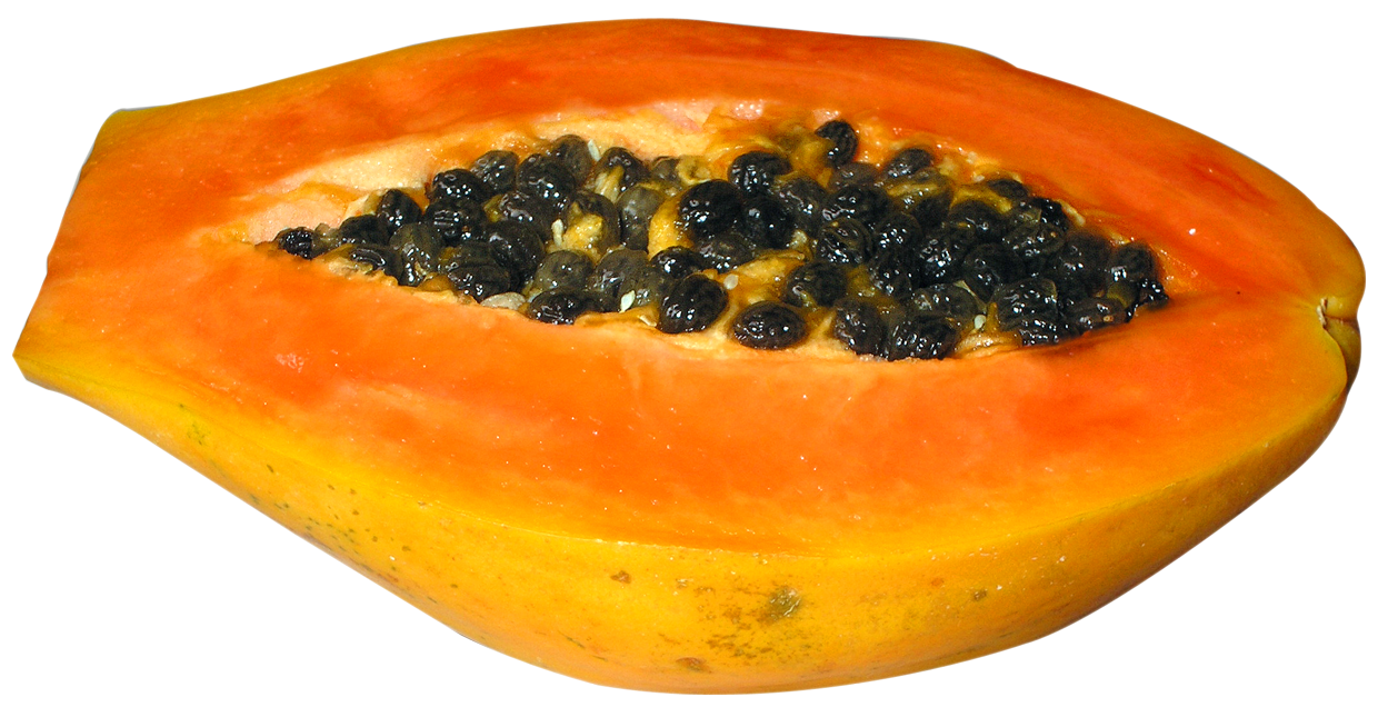 Resolution: 1240 X 645 | Format: Png | Keywords: Fruits, Papaya, Pawpaw, Half Papaya, Half - Papaya, Transparent background PNG HD thumbnail