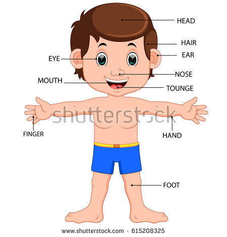 Boy Body Parts Diagram Poster - Parts Of The Body For Kids Tagalog, Transparent background PNG HD thumbnail