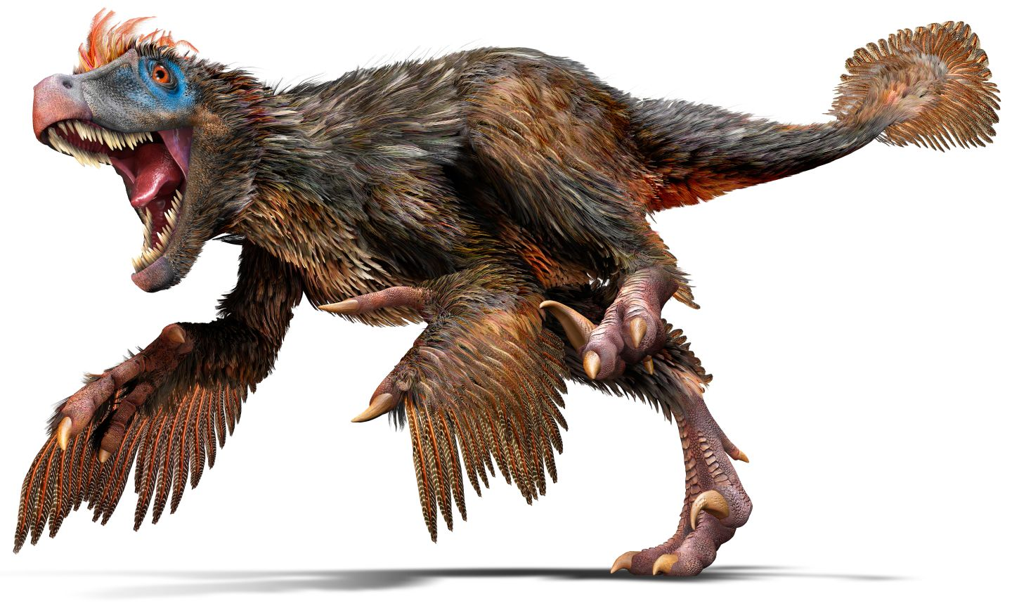 Pasted Image1440X875 1.45 Mb - Dinosaur, Transparent background PNG HD thumbnail