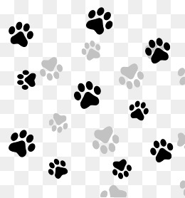Black Gray Paw Texture Composition - Paw, Transparent background PNG HD thumbnail