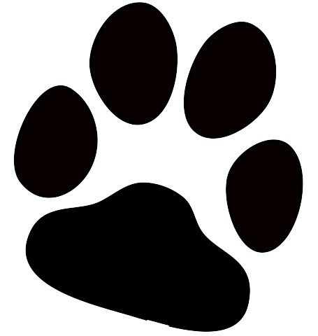 Other Resolutions: 228 × 240 Pixels Hdpng.com  - Paw Print, Transparent background PNG HD thumbnail