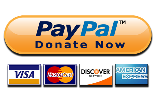 Paypal Donate Button High Quality Png - Paypal Donate Button, Transparent background PNG HD thumbnail
