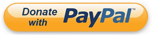 Paypal U2014 The Safer, Easier Way To Pay Online. - Paypal Donate Button, Transparent background PNG HD thumbnail