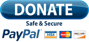 PayPal Donate Button PNG Clip