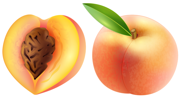 Peach Clip Art - Peach, Transparent background PNG HD thumbnail