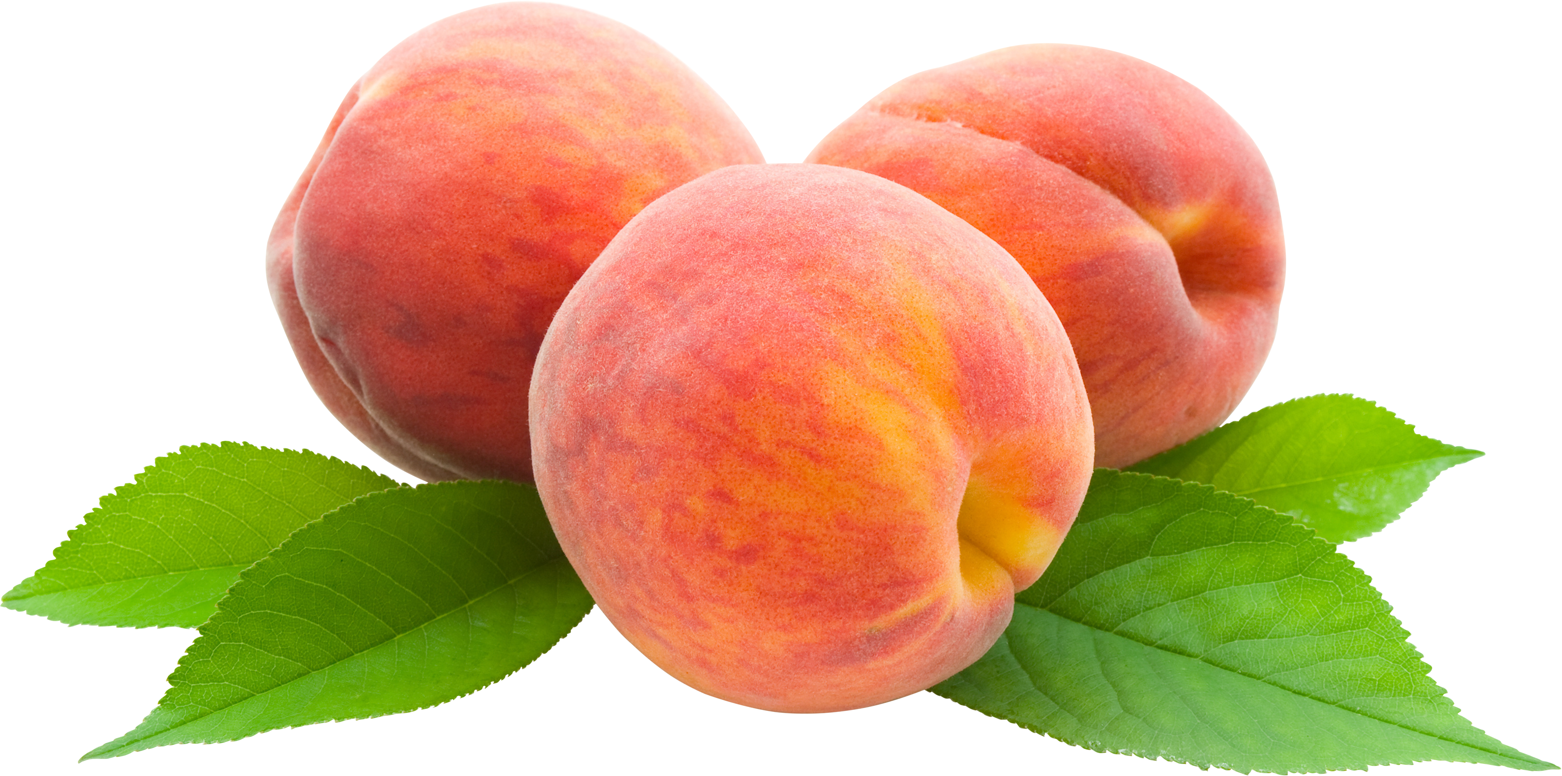Peach Png Image - Peach, Transparent background PNG HD thumbnail