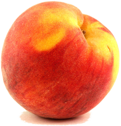 Peach Png Image - Peach, Transparent background PNG HD thumbnail