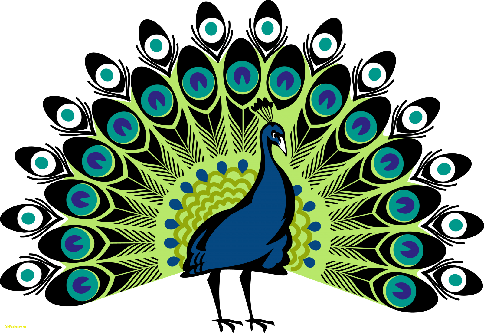 Peacock Png Images Free Beautiful Peacock Image - Peacock, Transparent background PNG HD thumbnail