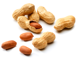 Some Unexpected Sources Of Peanut - Peanut, Transparent background PNG HD thumbnail