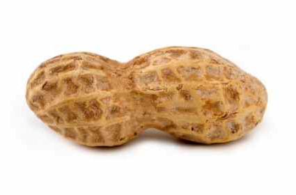 This Is National Peanut Month, Although Iu0027M Not Sure Why We Have A National Peanut Month, Other Than To Say It Started In 1941 As A Week Long Observance, Hdpng.com  - Peanut, Transparent background PNG HD thumbnail
