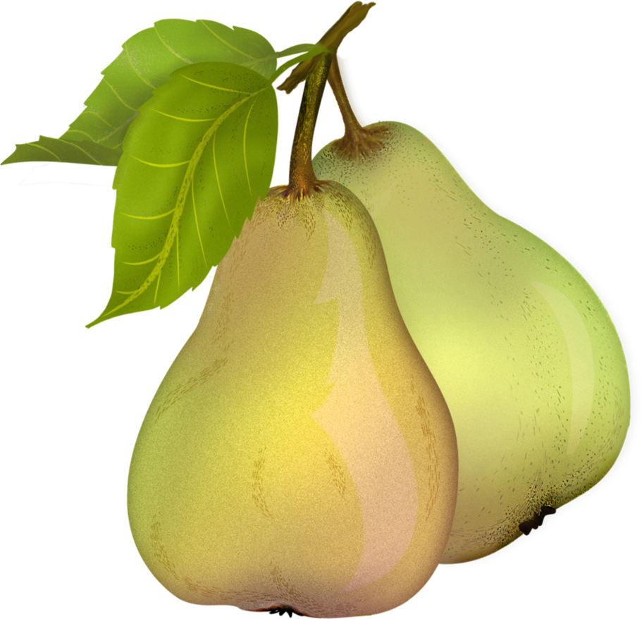 Pear 10 By Roula33 Hdpng.com  - Pear, Transparent background PNG HD thumbnail