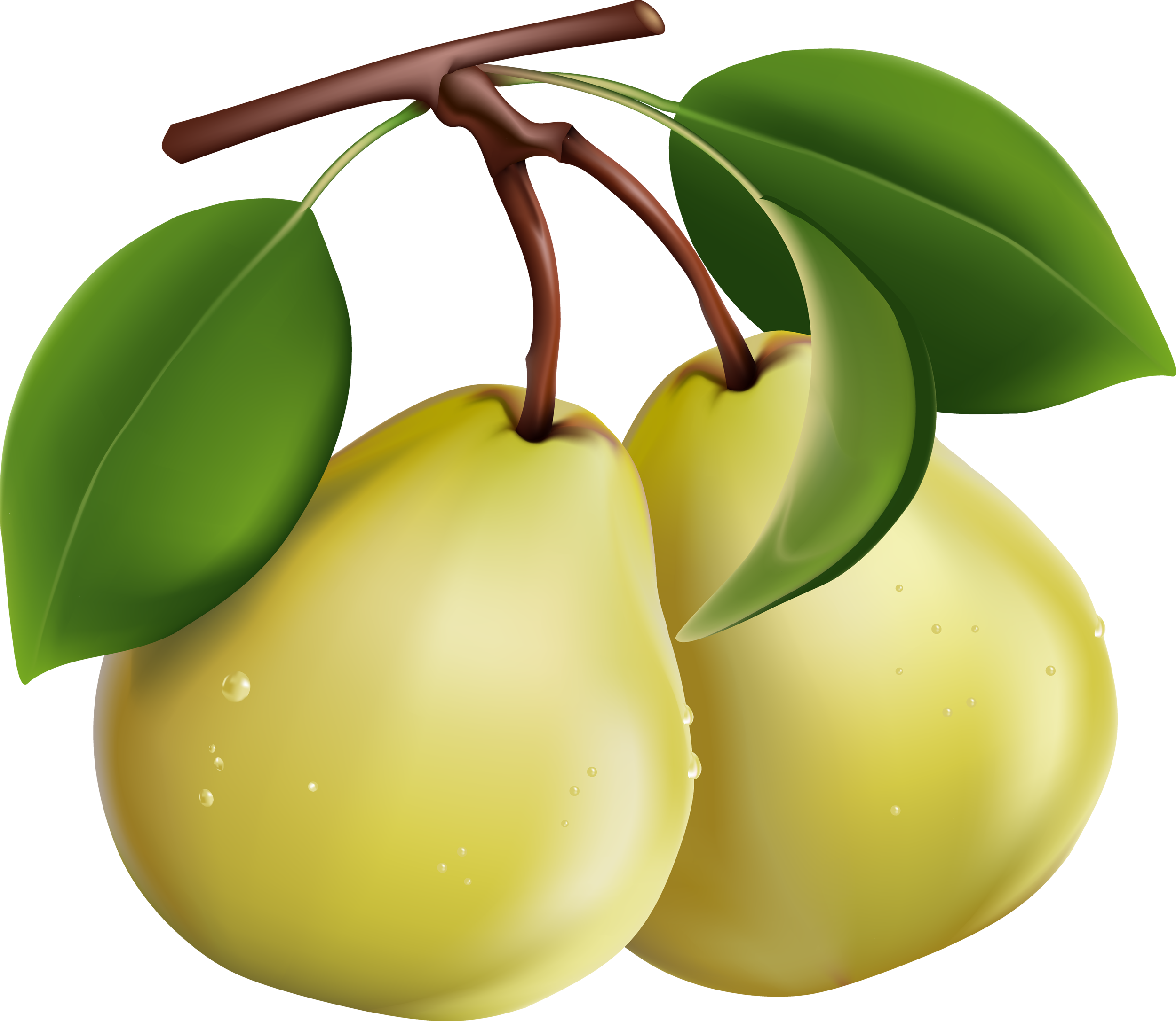 Pear - Pear, Transparent background PNG HD thumbnail