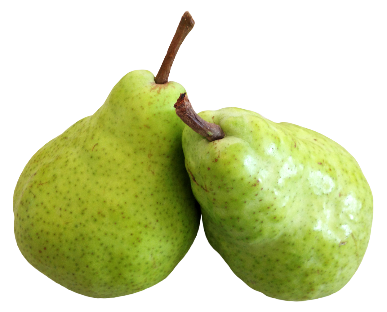 Hdpng - Pear, Transparent background PNG HD thumbnail