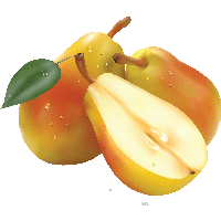 Pear Png Image Png Image - Pear, Transparent background PNG HD thumbnail