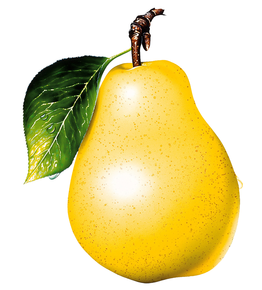 Ripe yellow pear PNG image, Pear PNG - Free PNG