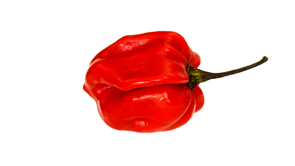 Red Pepper Pepper Vegetable Food Fresh Vegetarian - Pepper, Transparent background PNG HD thumbnail